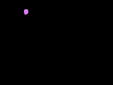firew.gif (41629 bytes)
