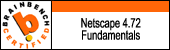 Netscape 4.72 Fundamentals
