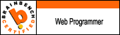 Web Programmer