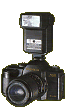 camflash.gif (10264 bytes)