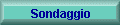 Sondaggio