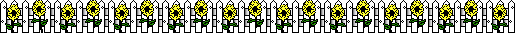sunflower fence