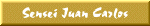 Sensei Juan Carlos Escalera
