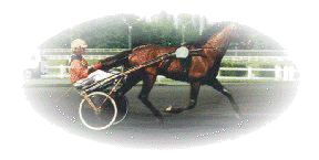 header.jpg (7897 bytes)
