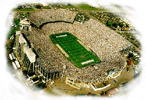 /user/Stadium.gif