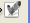 Imageready icon