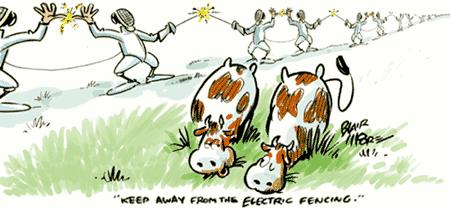 cartoon03.gif (30744 bytes)