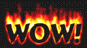 wow.gif (38158 bytes)
