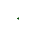 firework10.gif (65935 bytes)