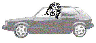 rcdriven.gif (27314 bytes)