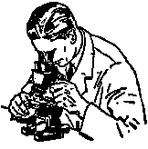 sci2.gif (2802 bytes)