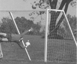 Bob's no save v USF 