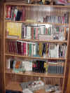 bookshelf.JPG (411788 bytes)