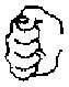 Isshinryu Fist