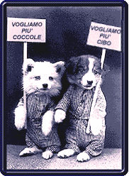 Vogliamo restare sempre con voiiiiii.................