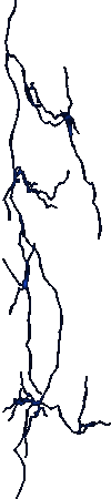 Lightning Bolt