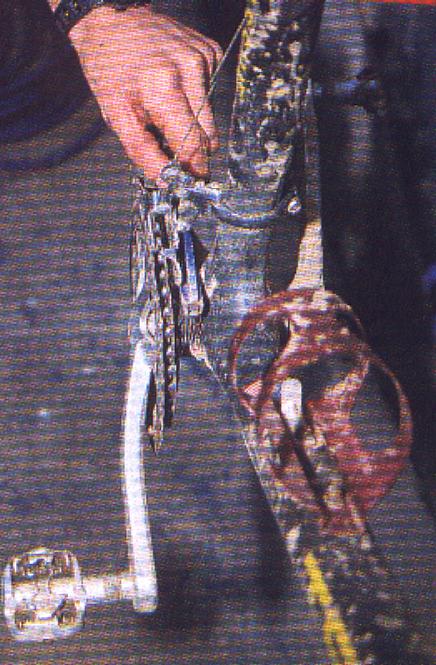 servico2.JPG (69953 bytes)