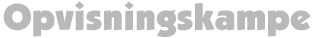 Opvisningskampe