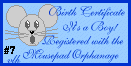 Get Your Own Mouse!