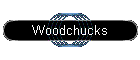 Woodchucks
