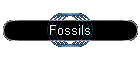 Fossils
