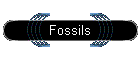 Fossils