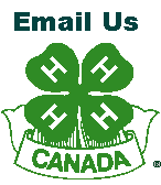 4-H Logo