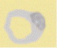 Pumice.gif (4460 bytes)