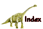 To My Site Index