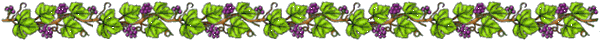 Image of grapevine