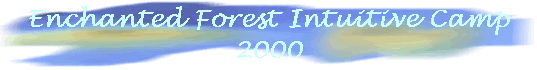 Enchanted Forest Intuitive Camp 
 2000