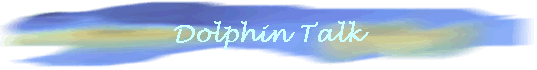 Dolphin Talk