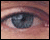 tobey3