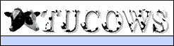 e-zines, newsletters, newsgroups, usegroups, opt-in mailing lists, advertising,