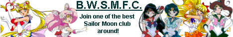 The Beautiful World of Sailor Moon