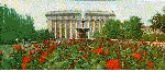 Animated Donetsk Gallery