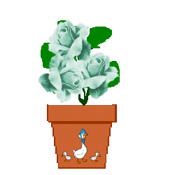 The Site Fights Spirit Flowers