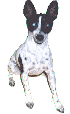 More about Bitsy soon.