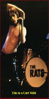 Curt Wild