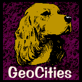 GeoCities