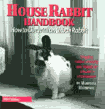 Living with an Urban Rabbit