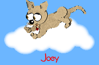 Joey