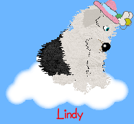 Lindy