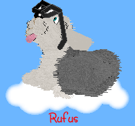 Rufus
