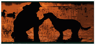 Field & Hunting Retriever WebRing, hunting dogs, retrievers, gun dog, bird dog, Breeders, Trainers, Clubs