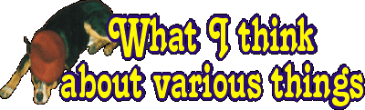 What I think about various arguments