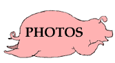 Smuggled photos...No password required