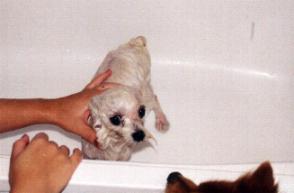 Keira's bath