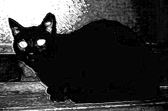 black and white