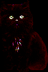 Hellcat